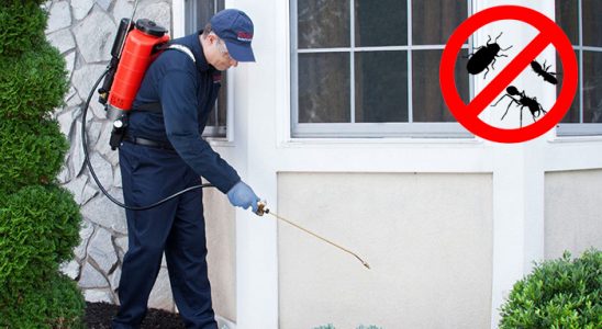 Fındıklı Bit İlaçlama böcek ilaçlama ve haşere kontrolü — ilaclama-tr.com